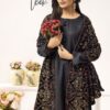 Jaan B 2.0 Dhanak kameez with luxury Velvet embroidered shawl and Farshi shalwar Black - Image 4