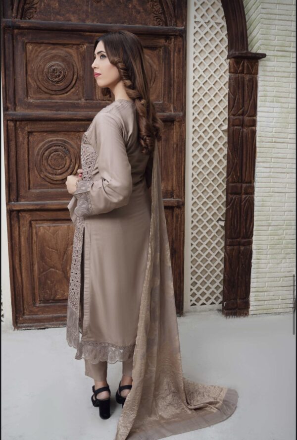ChikanKari suit - Image 2