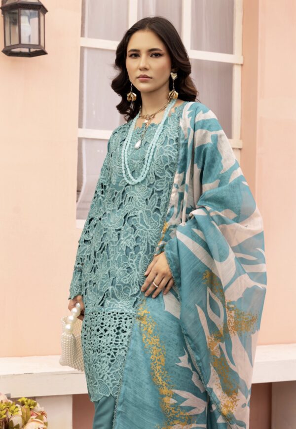 Rang Rasiya with Farshi Shalwar Blue - Image 2