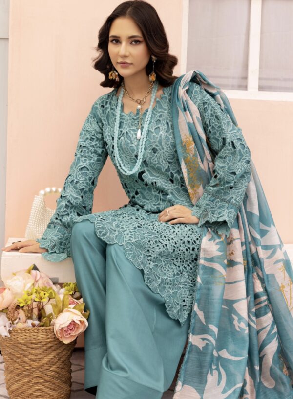 Rang Rasiya with Farshi Shalwar Blue - Image 4