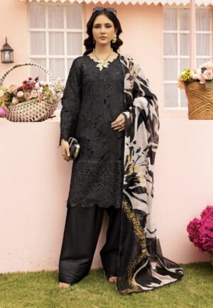 Rang Rasiya with Farshi Shalwar Black