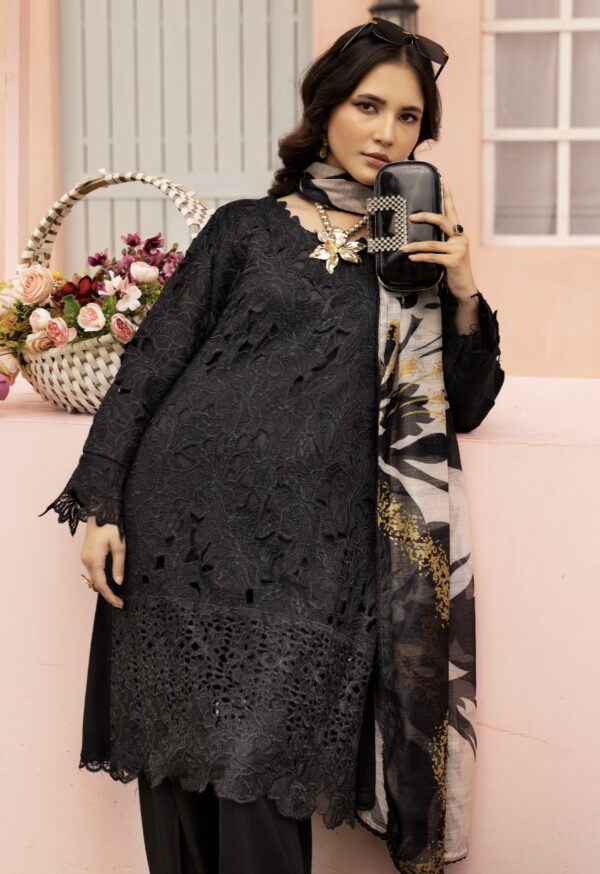 Rang Rasiya with Farshi Shalwar Black - Image 2