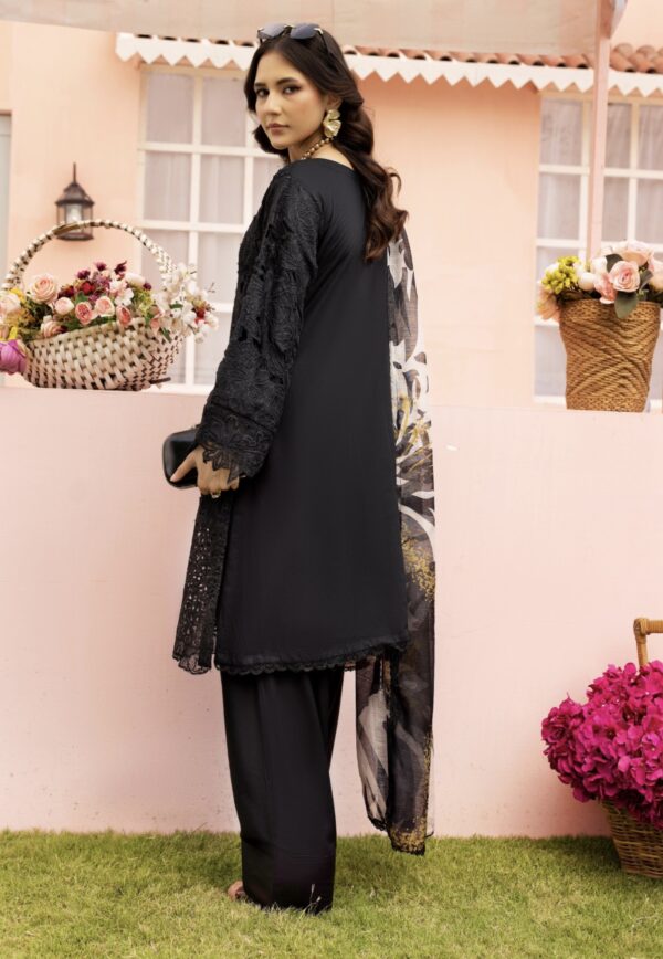Rang Rasiya with Farshi Shalwar Black - Image 5