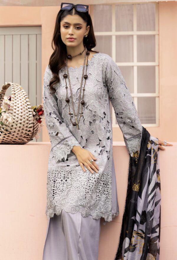 Rang Rasiya with Farshi Shalwar Grey - Image 2