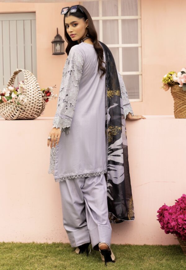 Rang Rasiya with Farshi Shalwar Grey - Image 5