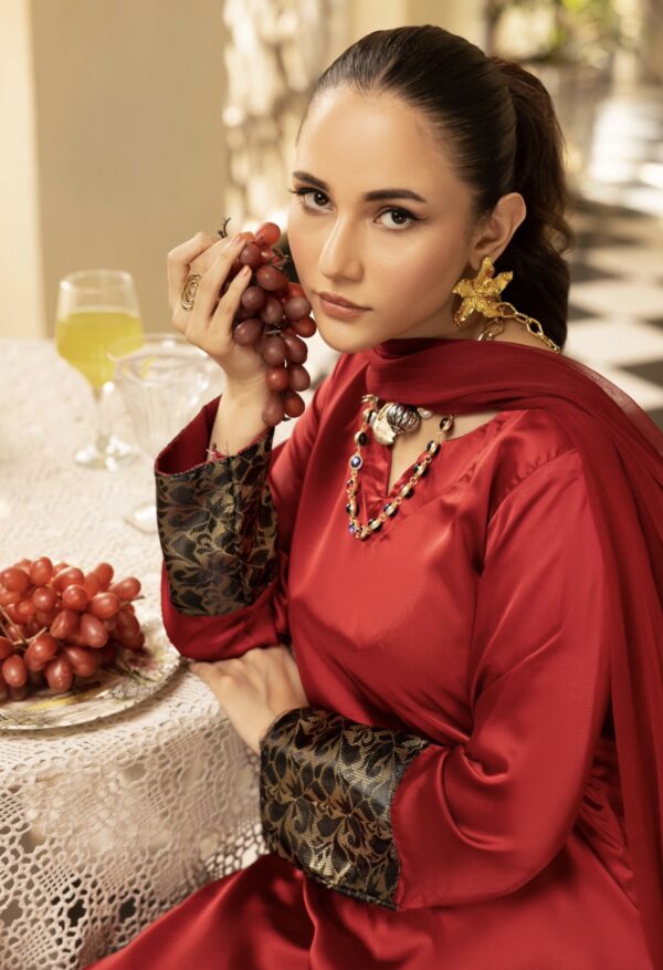 Riva Silk Suit with Farshi Shalwar - Red - Image 4
